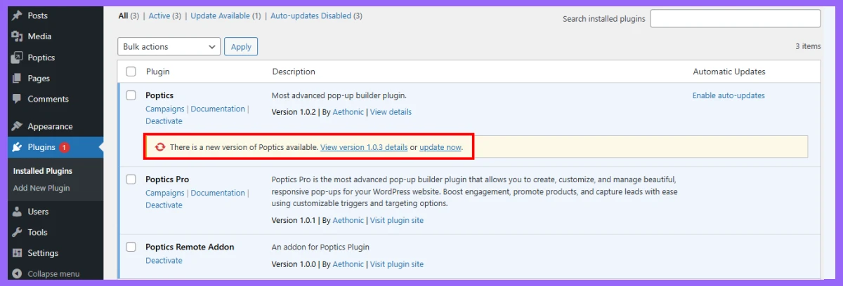 WordPress Plugin Update